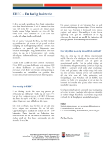 Januari 2013 - EHEC en farlig bakterie