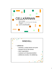 CELLKÄRNAN