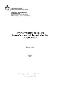 Påverkar hundens mikrobiota immunförsvaret och kan det