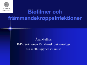 Biofilmer och frammandekroppsinfektioner