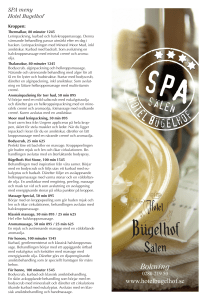 hotel bügelhof sälen