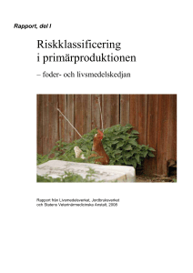 Rapport del I Riskklassificering i