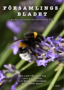 9 Församlingsbladet september 2015 sidordning