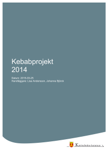 Kebabprojekt 2014