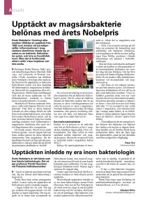 Upptäckt av magsårsbakterie belönas med årets Nobelpris