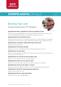 Exempelsamtal Emma nivå 2