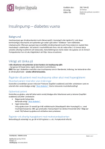 Insulinpump