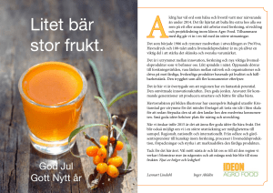 Litet bär stor frukt.