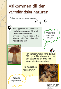 Välkommen till den Värmlänska naturen