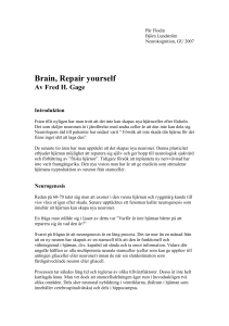 Brain, Repair yourself