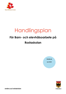 Arbete kring elever med behov av särskilt stöd