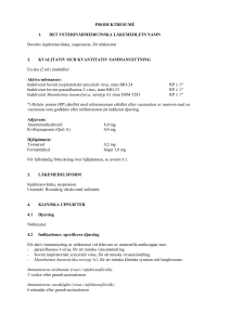 Bovalto suspension for injection SmPC