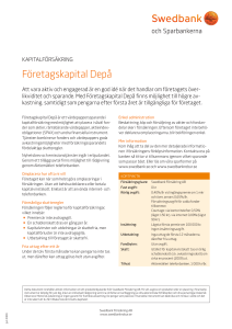 Företagskapital Depå
