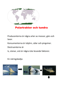 Polartrakter och tundra Jonna