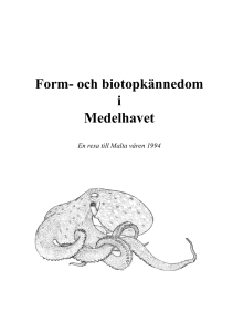 Form- och biotopkännedom i Medelhavet