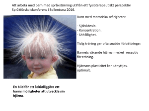 Bibbi Dumèes föreläsning