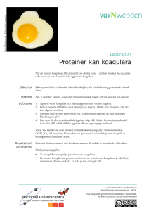 Proteiner kan koagulera