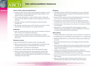 Felin calicivirusinfektion (kattsnuva)