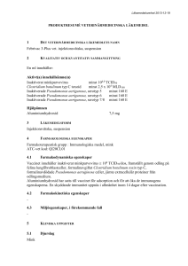Febrivac 3 plus vet. suspension for injection SmPC
