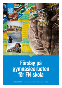 Förslag på gymnasiearbeten för FN-skola - Svenska FN