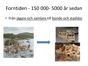 Forntiden - SkogstorpGreen