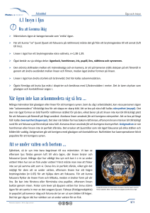 4.1 Insyn i ljus När ögon inte kan ackommodera sig så bra … Att se
