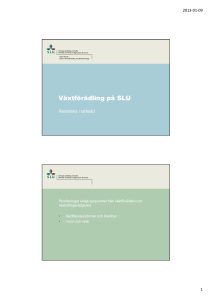 Växtförädling på SLU