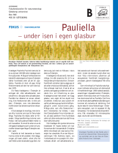 Pauliella - Havet.nu