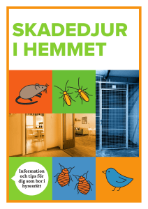 Information och tips för dig som bor i hyresrätt