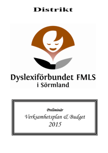 dyslexi_s-land_preliminarverksamhetsplan_v.a