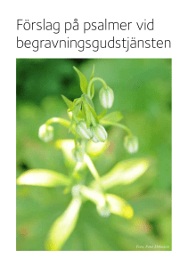 Förslag på psalmer vid begravningsgudstjänsten