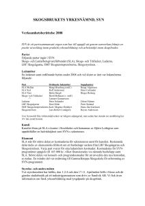 Verksamhetsberättelse 2008 - SYN