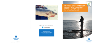skydda och hantera fisken på rätt sätt
