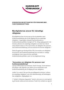 Myndigheternas ansvar för mänskliga rättigheter