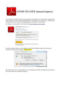ADOBE READER (Internet Explorer)