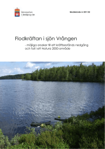 Flodkräftan i sjön Vrången
