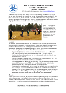Kan vi studera hundens beteende i sociala situationer?