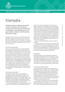 Råd och fakta om sexuellt överförda infektioner – faktablad klamydia