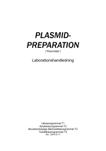 PLASMID-