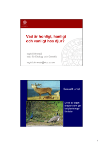 Vad är honligt, hanligt och vanligt hos djur?