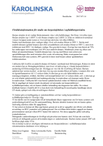 Dokumentnamn