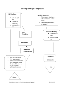 Språklig förmåga – en process