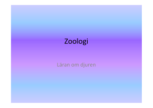 Zoologi - Staffanstorp