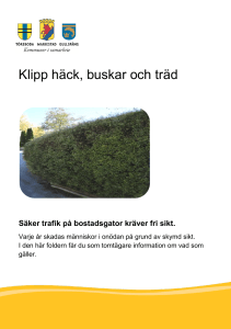 Klipp häck, buskar och träd