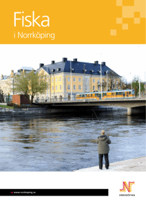 i Norrköping