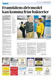 Framtidens drivmedel kan komma från bakterier