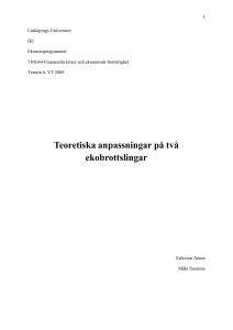 Ekonomisk brottslighet - IEI