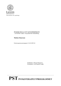 PSTPSYKOTERAPEUTPROGRAMMET