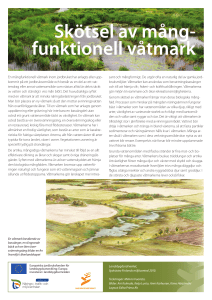 Skötsel av mångfunktionell våtmark