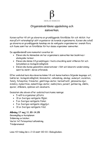 Kursplan - Skolan Bergius